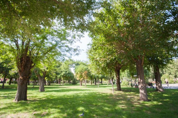 Парк АГУ Астрахань