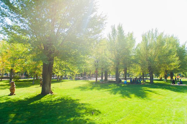 Сквер студенческий Астрахань