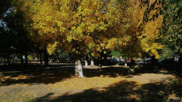 Студенческий парк