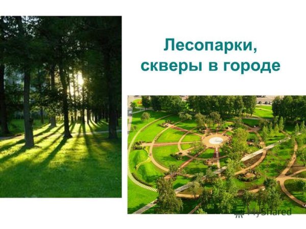 Искусственное сообщество лесопарк