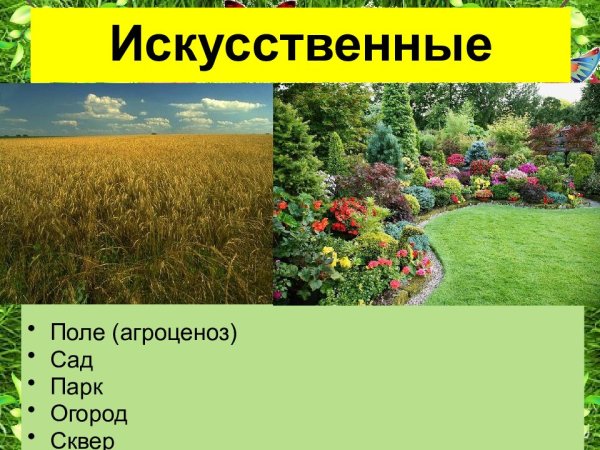 Искусственные природные сообщества