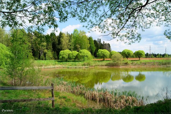 Природа Вятки