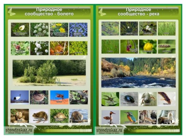 Природные сообщества