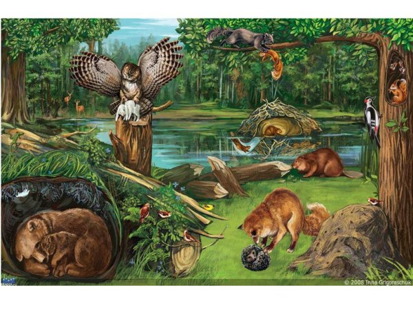 Лесные жители