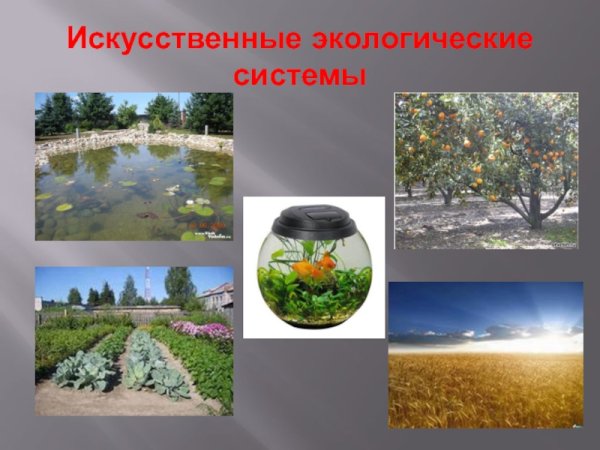 Искусственное эко