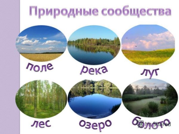 Название природного сообщества
