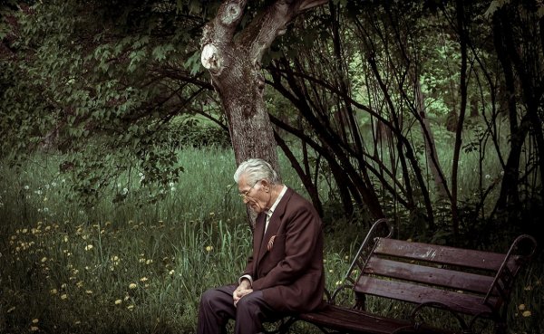 Старик на скамейке в парке