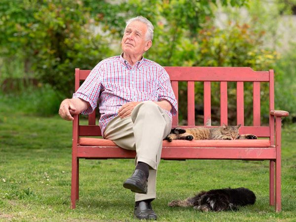Пожилой мужчина на лавке