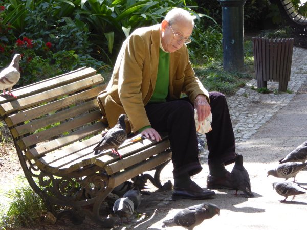 Старик на скамейке
