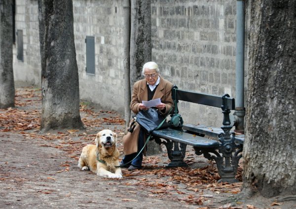 Старики гуляют в парке