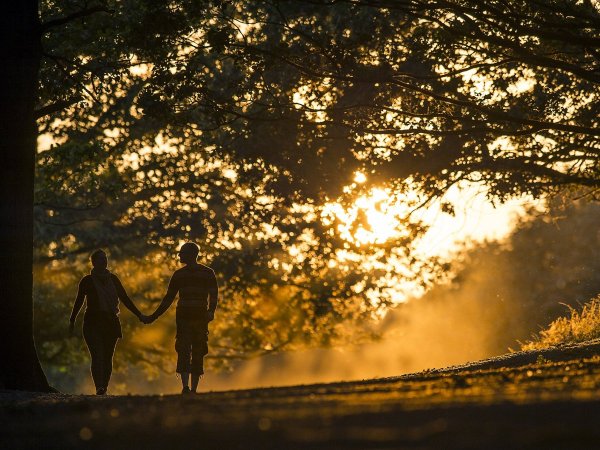 Вечерняя прогулка