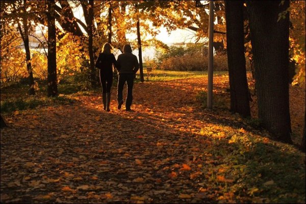 Осенняя прогулка