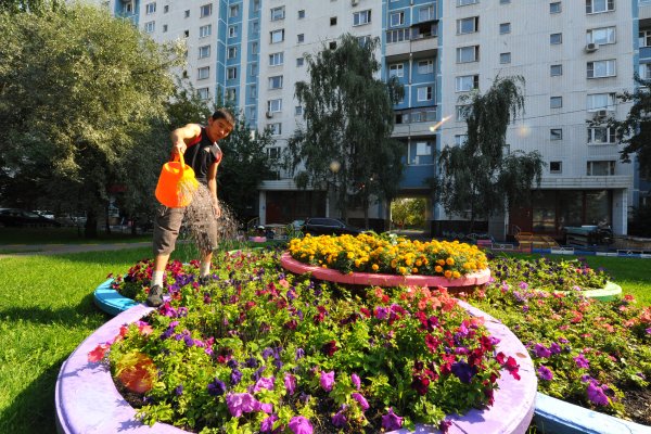 Клумбы во дворах многоэтажек