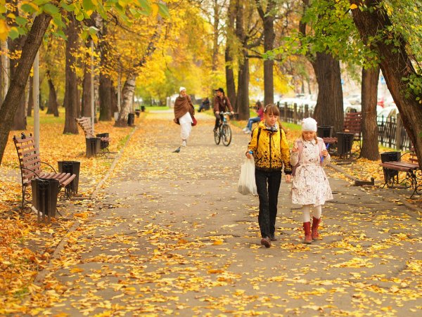 Прогулка в осеннем парке