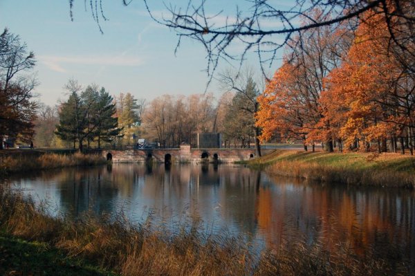 Парк Пушкино парк