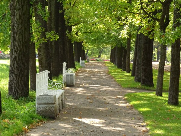 Екатерининский парк аллея