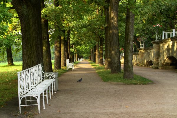 Пушкинский парк в Пушкино