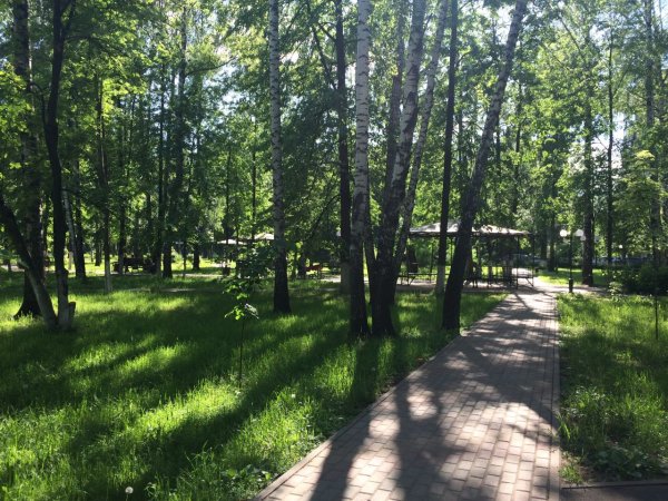 Пушкино городской парк