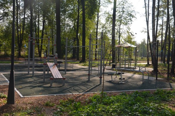 Парк Березовая роща Мамонтовка