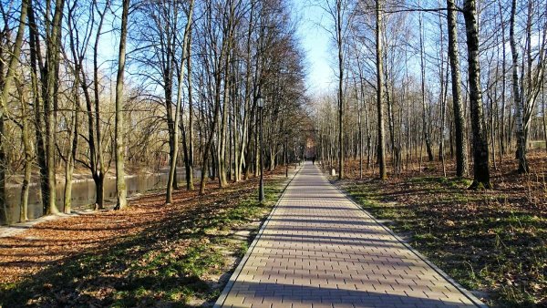 Аллея парка Богородицк