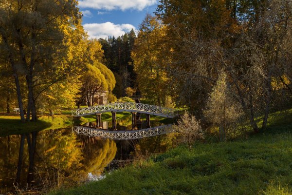Пушгоры осенью Михайловское
