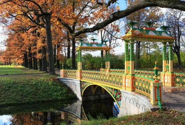 Царское село парк птицы