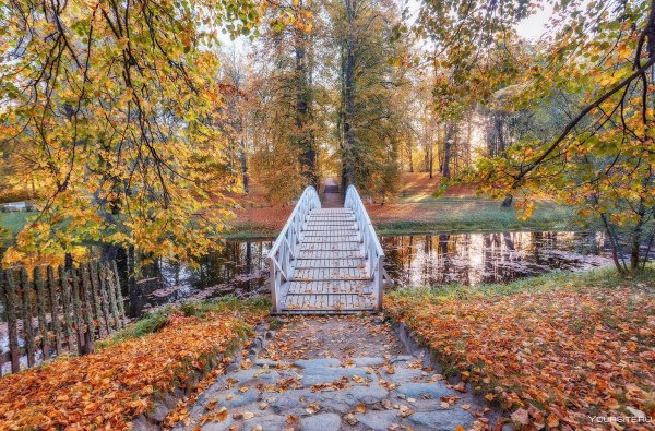 Михайловский парк Пушкинские горы