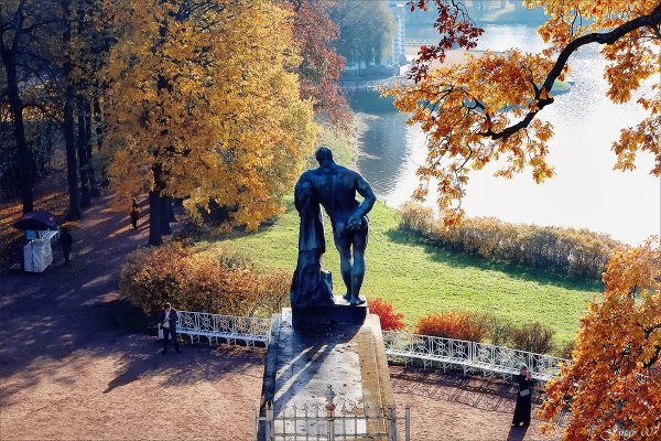 Царское село парк осенью