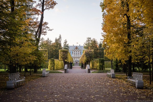 Царскосельский лицей Екатерининский парк