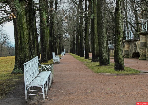 Екатерининский парк аллея