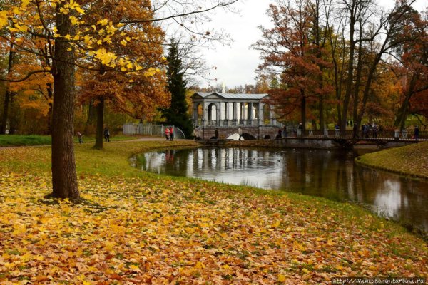 Царское село Пушкин Золотая осень лицей
