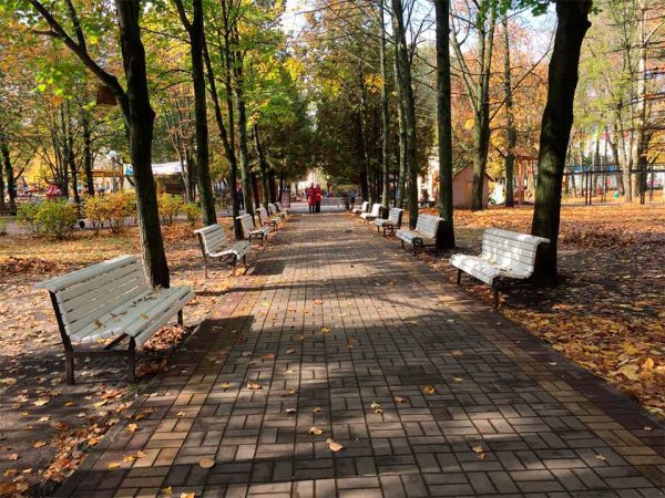 Володарский район Брянск парк