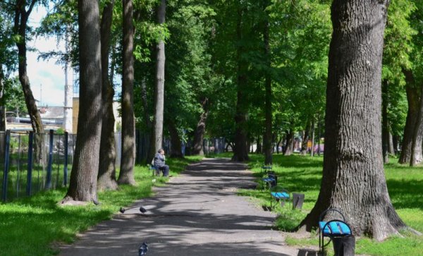 Город Брянск Майский парк