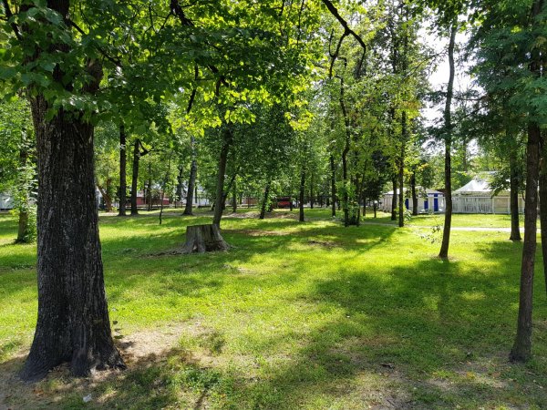 Майский парк Брянск