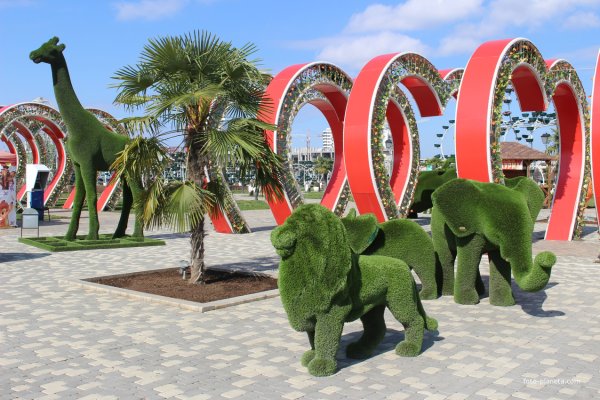 Цветочный парк Чечня