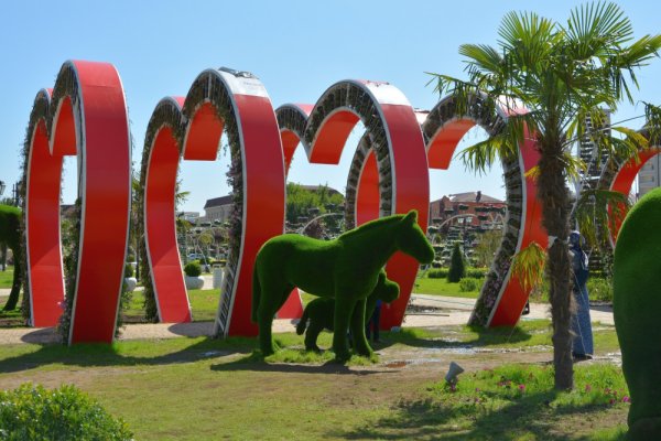 Достопримечательности Чечни цветочный парк