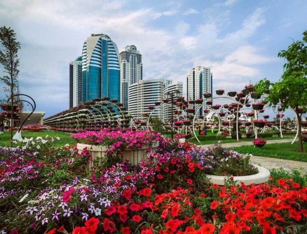 Грозный-Сити и цветочный парк