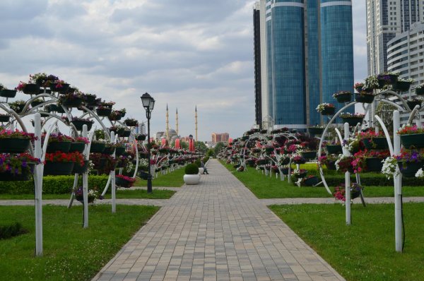 Парк в центре Грозного