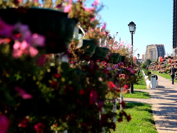 Грозный парк цветов
