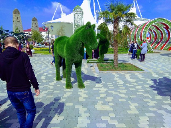 9 Парк в Грозном