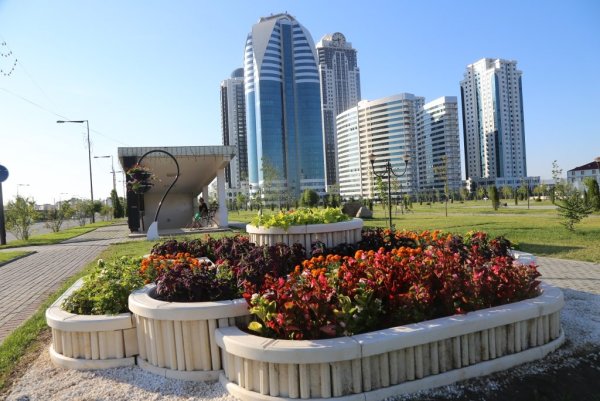 Грозный-Сити и цветочный парк