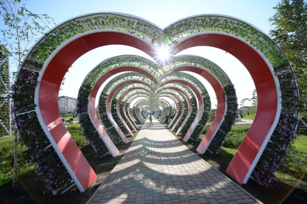 Грозный-Сити и цветочный парк