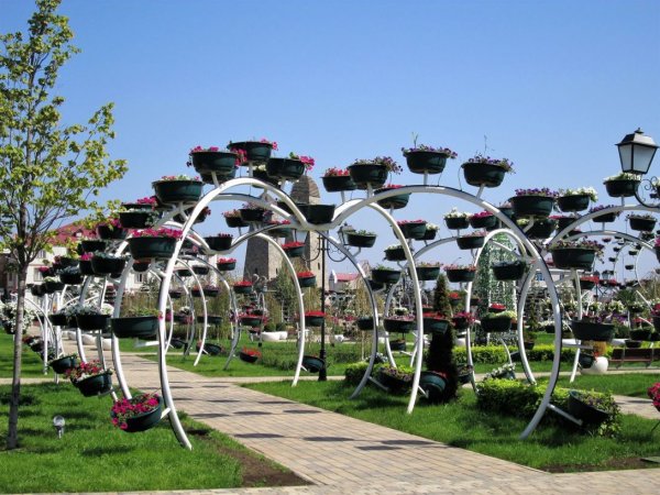 Цветочный парк Чечня