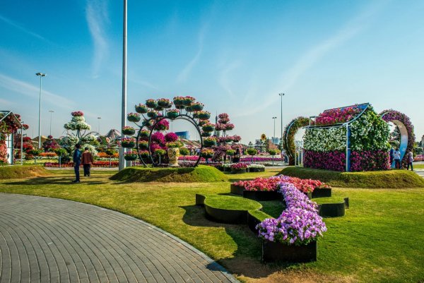 Цветочный парк Чечня