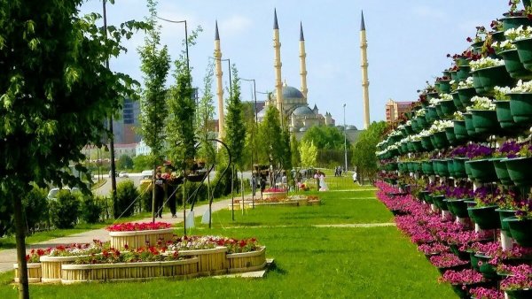 Грозный-Сити и цветочный парк