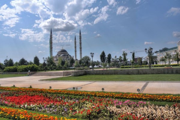 Форест парк Грозный Чечня