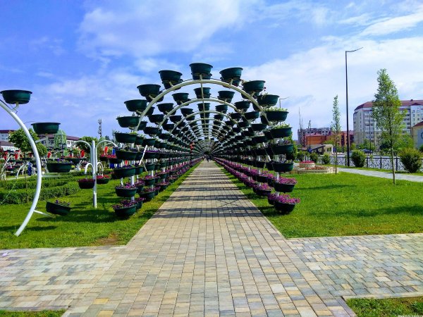 Чечня Грозный парк