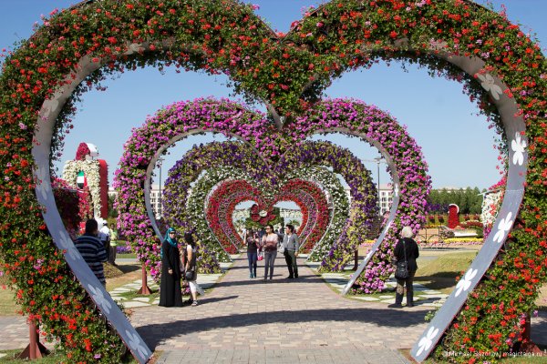 Цветочный парк Чечня