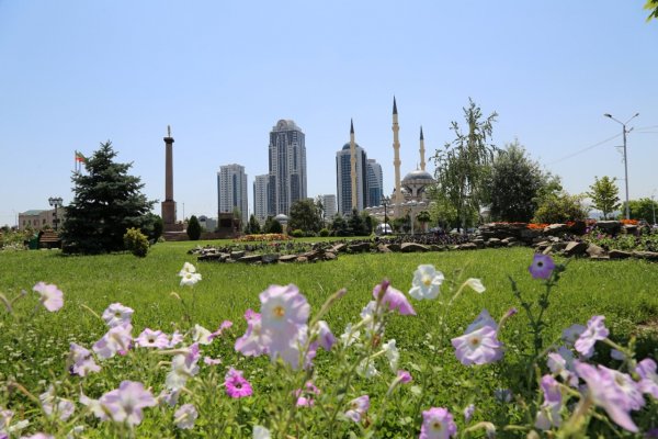 Грозный Чеченская Республика природа