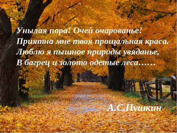 Закружилась листва Золотая Есенин